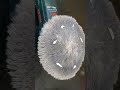 how to Polishing metal brass. #Shorts