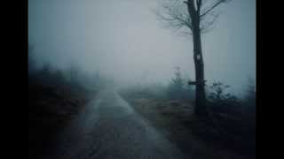 Adora Vivos - Woods of Ypres Sub. Español-English