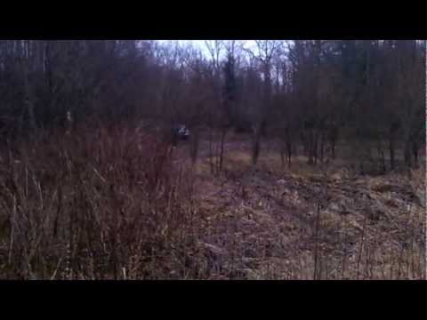 Новая Москва болото.