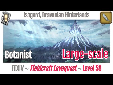 FFXIV Botanist Leves Level 58 Large-scale - Ishgard, Dravanian Hinterlands - Heavensward