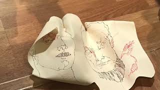 Recuerdo en imágenes de la IV Bienal de Caudete 2017