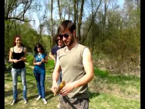 Divertirsi con poco.. La mazza e il pindolo!