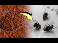 Looking For A Natural Bug Repellent Try Instant Coffee