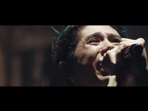 Fight The Night video