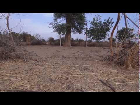 trash pickup with dumpster rental taunton ma