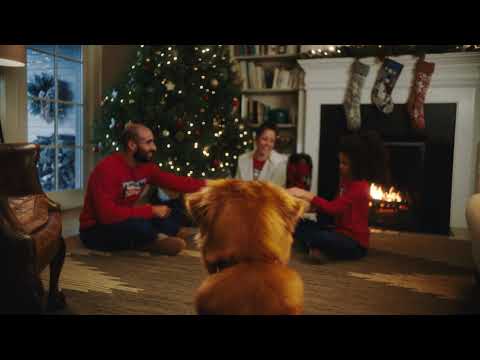 1st YouTube video about are dogs allowed in ll bean