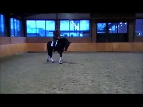 Daley Thompson Trainingsimpressionen