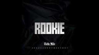 Shatta Wale - Rookie (Audio Slide)