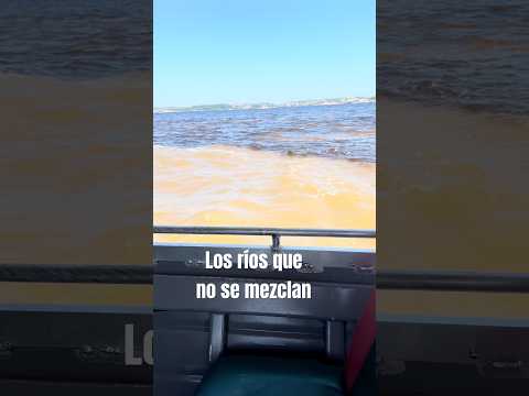 Juntos pero no mezclados #amazonas #rios #brasil #encuentrodelasaguas