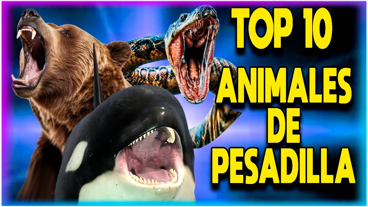 Las 10 películas de Animales LETALES que pocos recuerdan