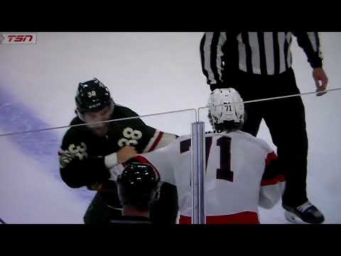 NHL hockey fight - Ryan Hartman(Wild) vs. Ridly Greig(Senators)