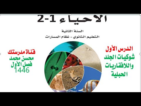 فيديو تعليمي