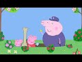 Peppa Pig Full Episodes Grandpa Pig S Pond Cartoons For Children