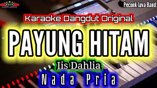 Download lagu PAYUNG HITAM KARAOKE NADA PRIA IIS DAHLIA'_Karaoke Dangdut Original_Peconk Java Band mp3