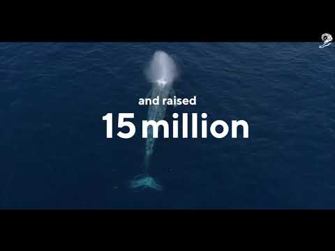 広告が動物を搾取する構造を、広告の力で変える / MARS「THE LION'S SHARE」