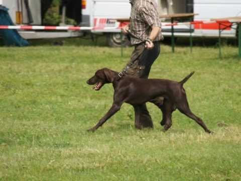 140706 Jugendklasse Rüden