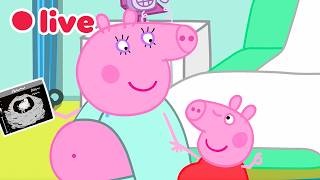 🔴 AO VIVO ⭐ Os melhores momentos de Peppa como irmã mais velha da Bebê Evie! 🍼 Episódios Completos