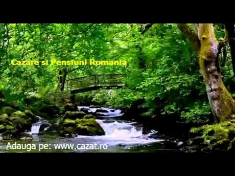 Cazare Bradet, Prahova - Cazat.ro