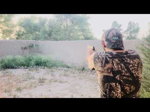 Cf98 target shooting || shooting with cf98