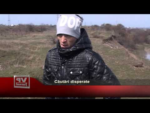 Căutări disperate