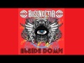 Bassnectar - Upside Down (Radio Edit)  [Free Download]