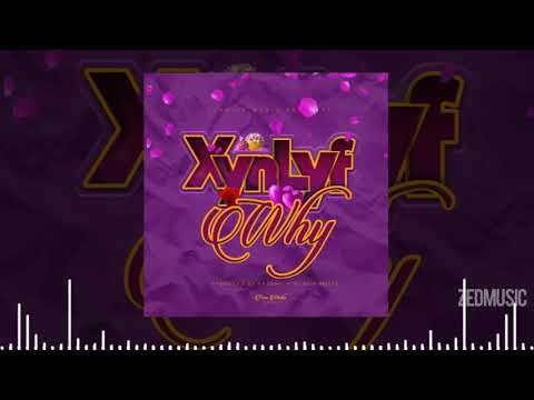 XYNLYF (Bow Chase x Mohsin Malik x Umufella Chek Chek) - Why (Official Audio) || #ZedMusic