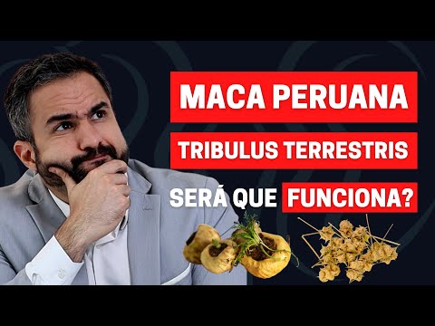 Does Peruvian Maca and Tribulus Terrestris Improve Erection? | Dr. Matheus Amaral - Urologist