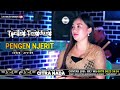 PENGEN NJERIT COVER TARLING TENGDUNG CITRA NADA 2023 AYU WD