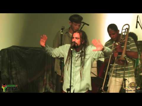 Raízes que Tocam   Heróis da Bíblia