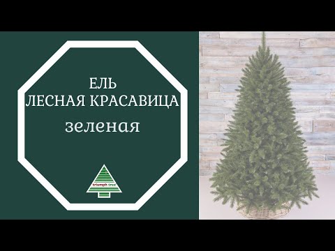 Триумф ель Лесная Красавица 185 см зеленая - Видео 1