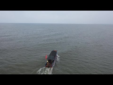 What is this musical instrument?