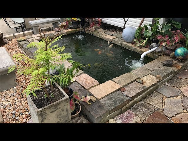 Building a New Garden Koi Pond (Part 2 of 3) - Fail & Triumph