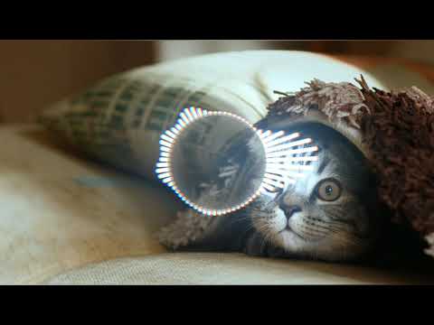 Birthday Thọt || JustaTee x MCK x TLinh -(TMLT)