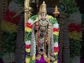 Madurai Meenakshi Amman Meenakshi Amman Temple Chithirai Festival Meenakshi Sundareshwar
