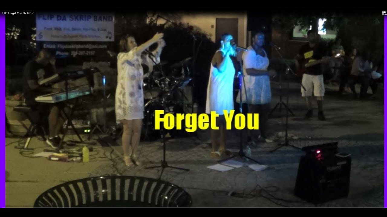 Promotional video thumbnail 2 for Flip Da Skrip Band