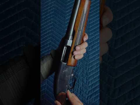 Trigger Weight of Winchester 101