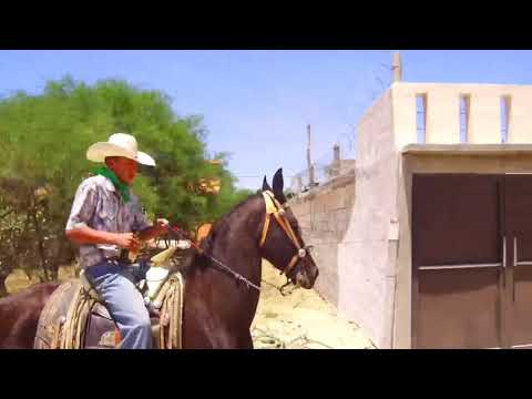 Me cargo el payaso - caciques de San Luis - El vaquero potosino
