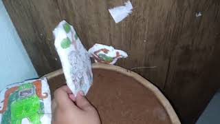 mundo do my singing monsters