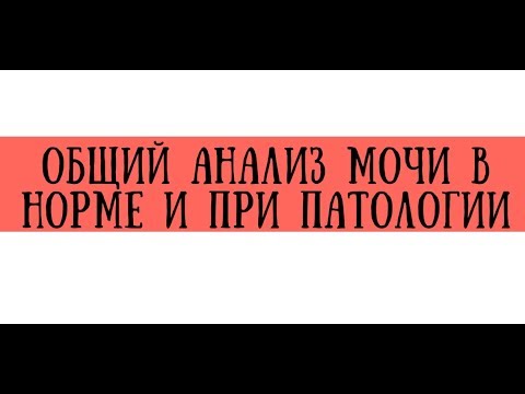 Лечение грыжи поясничного отдела позвоночника ютуб Витаминные комплексы при остеохондрозе