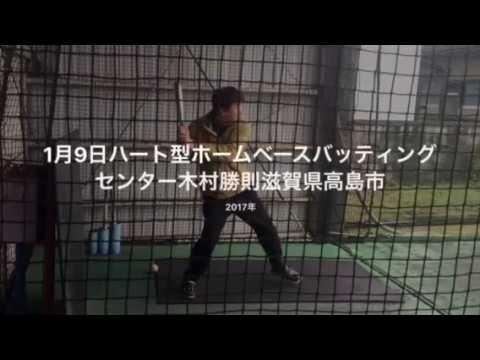 会計学科 バッティングセンターと豚のハート型の鼻を持つ亀さん！木村勝則滋賀県高島市