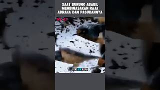 Download lagu Ribuan Burung Ababil Membinasakan Pasukan Gajah #alurcerita #alurceritafilm mp3 Download lagu Ribuan Burung Ababil Membinasakan Pasukan Gajah #alurcerita #alurceritafilm mp3