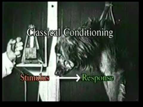 B.F. Skinner Foundation - A Fresh Appraisal