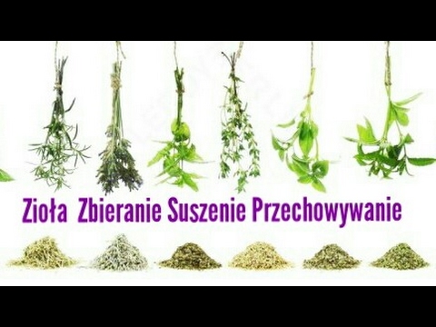 Czy Prostamol uno na potencję Akupunktura na potencję