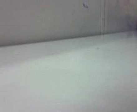 pouk fizike na poljanah =)