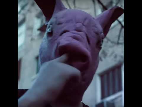 Abyusif khanza2or ابيوسف خنزؤور