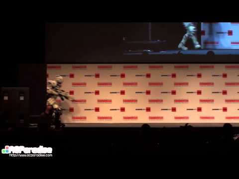 Anime Expo 2013 Masquerade #17 Danquish Vanquish