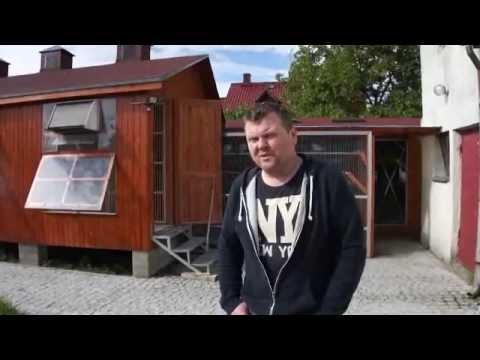 Krzysztof Kuś - Oddział PZHGP 0393 Leśnica - Środa Śl. - 18.05.2014r.