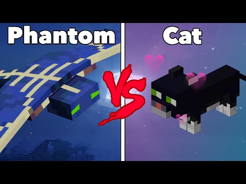 Why Phantoms Fear Cats