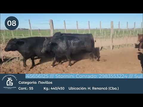 Lote Nv UE HILTON - H. Renancó Córdoba