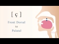 [ ç ] unvoiced dorsal palatal non sibilant fricative